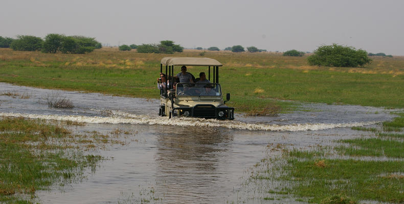 Game Drive